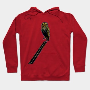 owl Hoodie